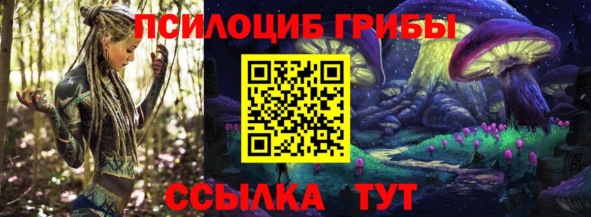 Псилоцибиновые грибы мухоморы Алатырь