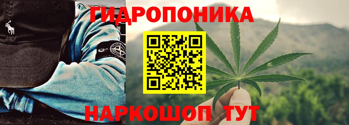 Бошки марихуана гибрид Алатырь